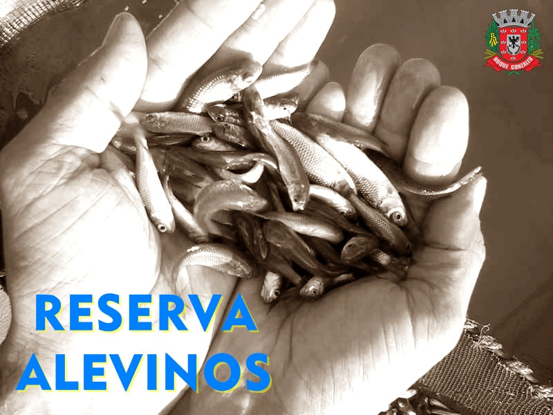 RESERVA DE ALEVINOS